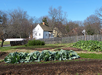 old Salem Garden