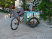 Mexican Bicycle Cart