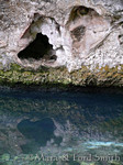 Cenote Cavern