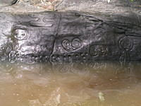 Petroglyph and Reflection