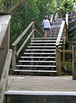 Climbing Maho Stairs