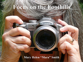 Focus on the Foothills