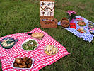 Picnic Spread