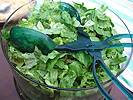 Ribbons of Lettuces
