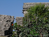 Seaside Structure - View 3
