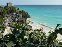 Seaside Structure - View 4