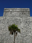 Castillo Back - View 2
