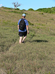 Hiking
