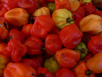 Peppers