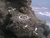 Drunk Bay Art